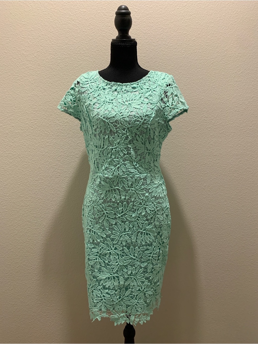 Lulu's Mint Green Floral Lace Sheath Dress (Size XL)